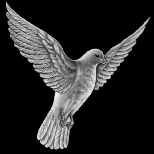 Dove Laser